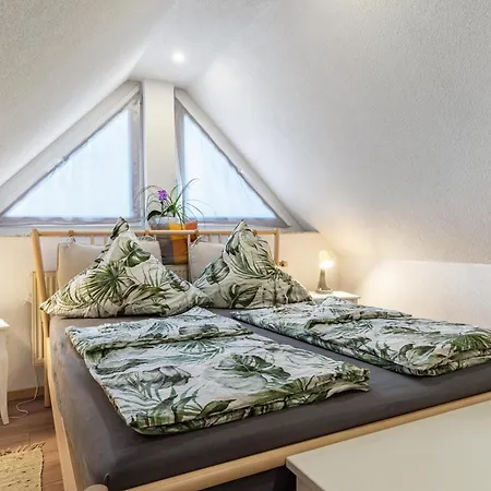 Apartament Leon *